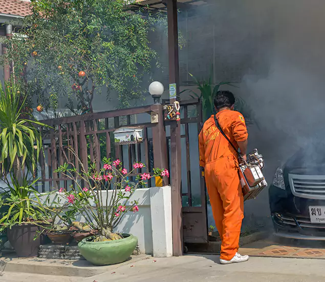 Your Proven Mosquito Fogging Company in Cartersville, GA