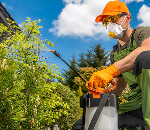 Your Best Bug Spray for Home Team in Cartersville, GA