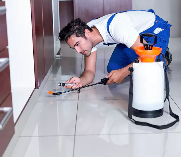 Reliable Professional Mouse Removal: Your Best Mouse Control Company in Cartersville, GA
