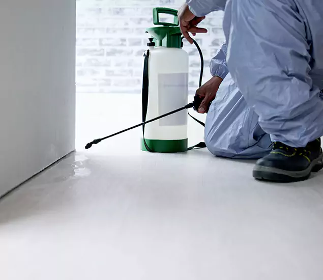 Affordable Pest Control Experts in Cartersville, GA