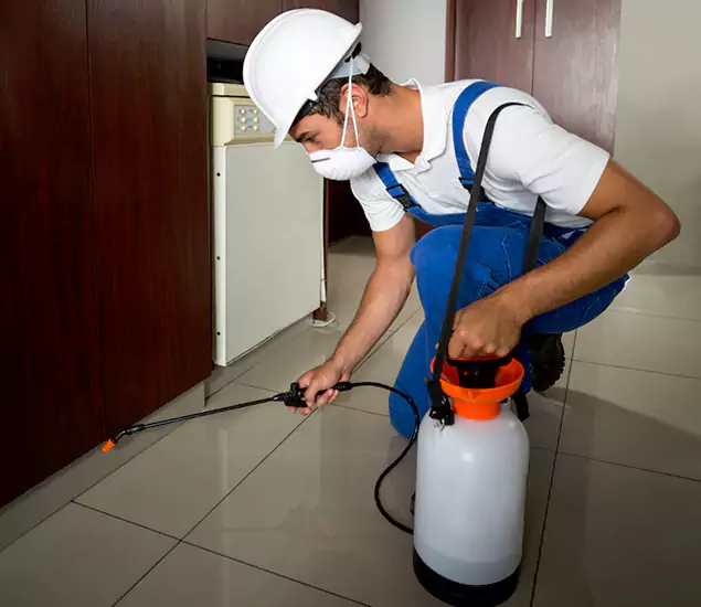 Advanced Termite Pre Treatment Experts in Cartersville, GA