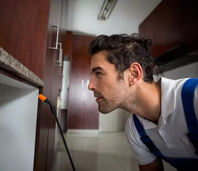 Expert Rodent in Attic Removal: Your Proven Pest Specialists in Cartersville, GA