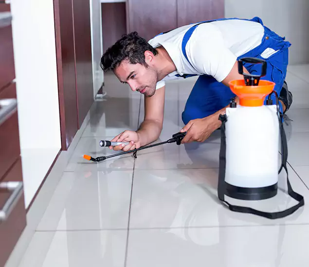 Advanced Slab Termite Treatment Experts You Can Trust&nbsp;in Cartersville, GA
