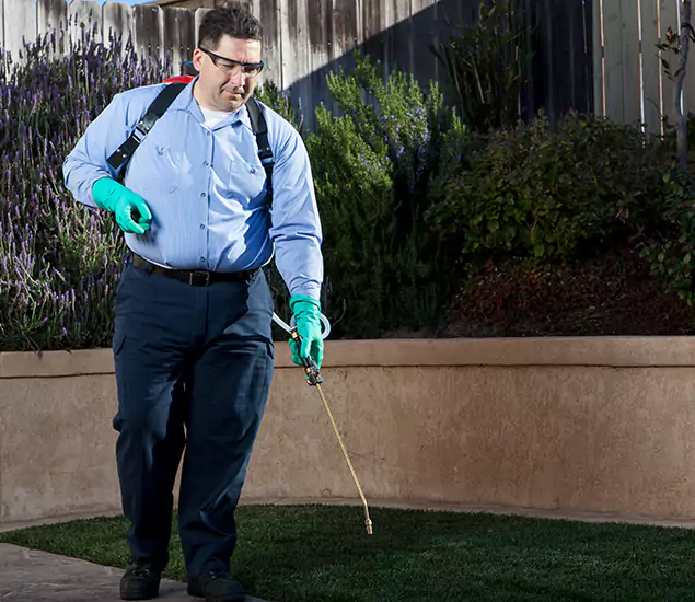 Reliable Termite Barrier Treatment Experts in Cartersville, GA