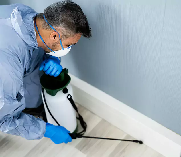 Reliable Termite Cost Experts in Cartersville, GA
