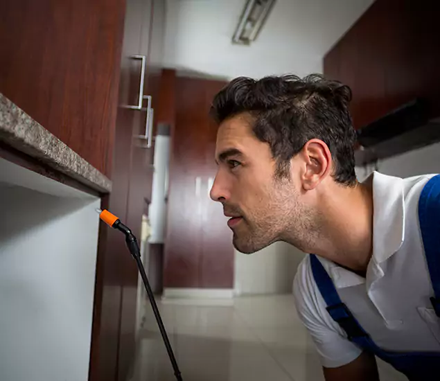 Termite Inspection Cost Experts You Can Trust in Cartersville, GA
