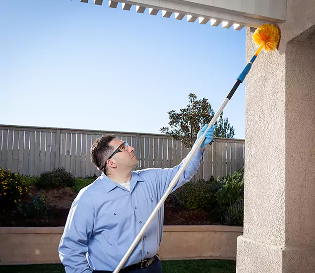 Your Trusted Wasp Removal Company in Cartersville, GA