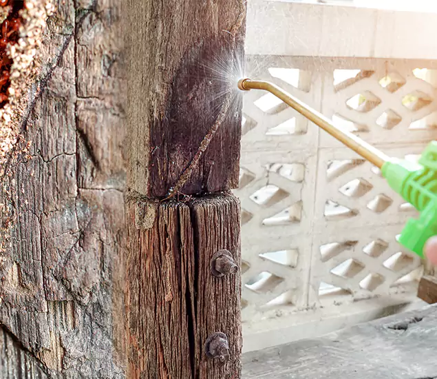 About Wood Termite Treatment Services in Cartersville, GA