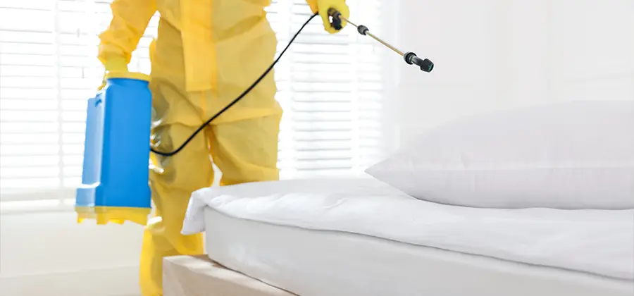 Targeted Chemical Application in Cartersville