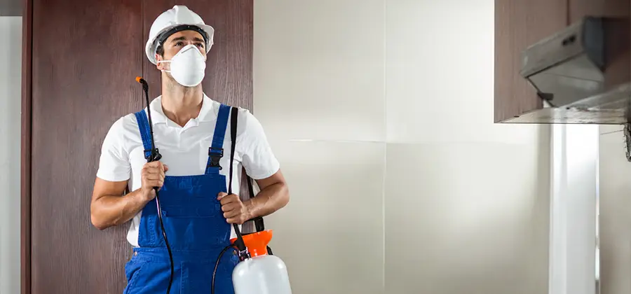 Per Room Bed Bug Cost in Cartersville