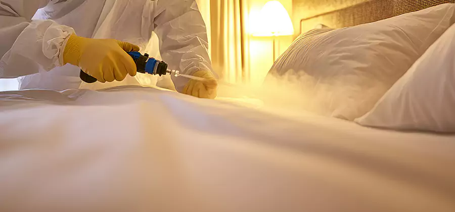 Bed Bug Steam Treatment Services in Cartersville
