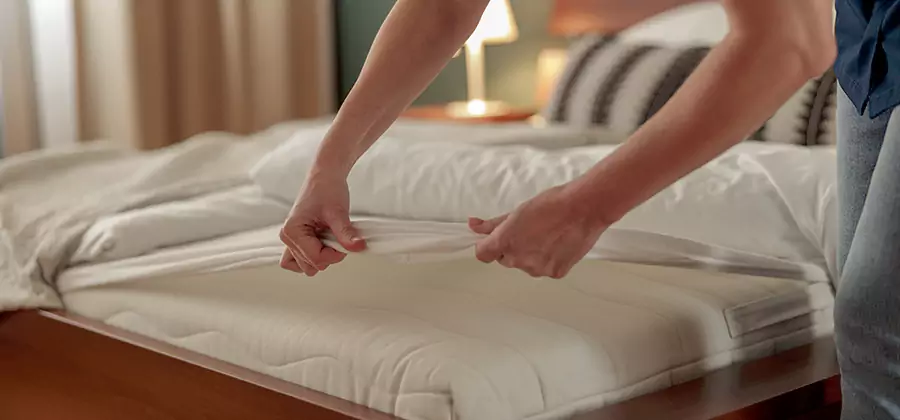Bed Bug Extermination Services in Cartersville