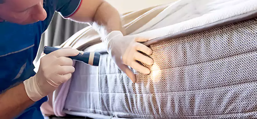 Residential Bed Bug Treatment Cost in Cartersville