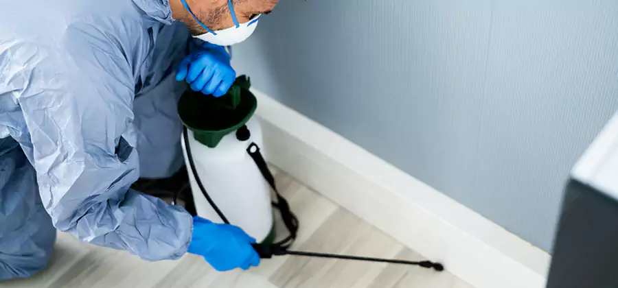 Fumigate Apartment Roaches in Cartersville
