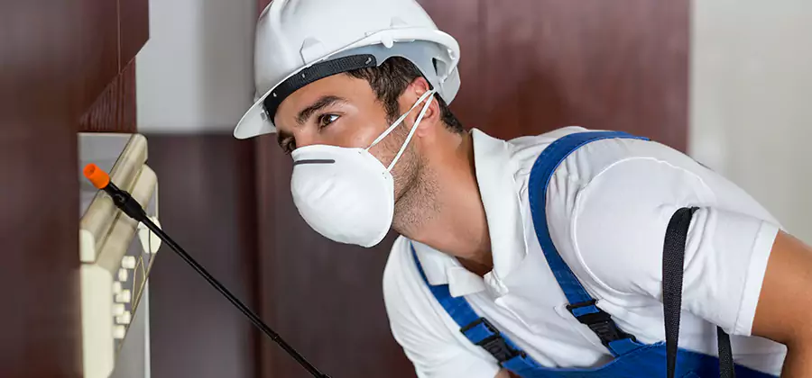 Injection Foam Treatment for Drywood Termites in Cartersville