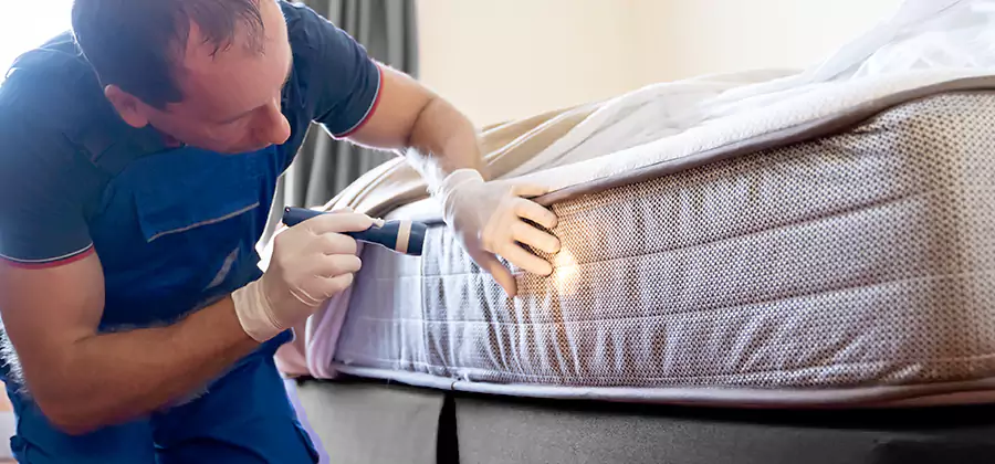 24 Hour Bed Bug Pest Control in Cartersville