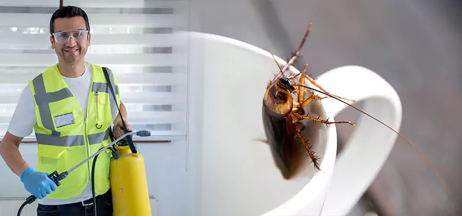 German Roach Infestation Treatment Cartersville