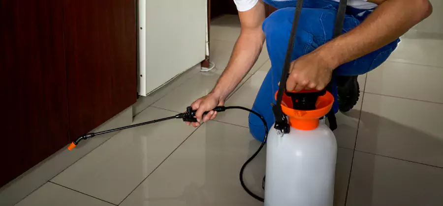 Indoor Mosquito Treatment in Cartersville