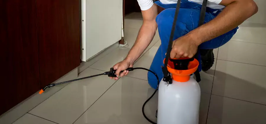 Indoor Insect Killer Solutions in Cartersville