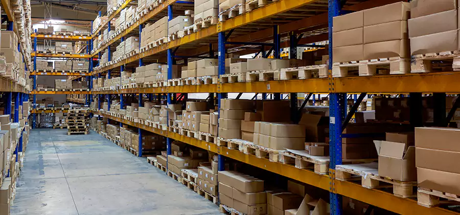 Warehouse Pest Control in Cartersville