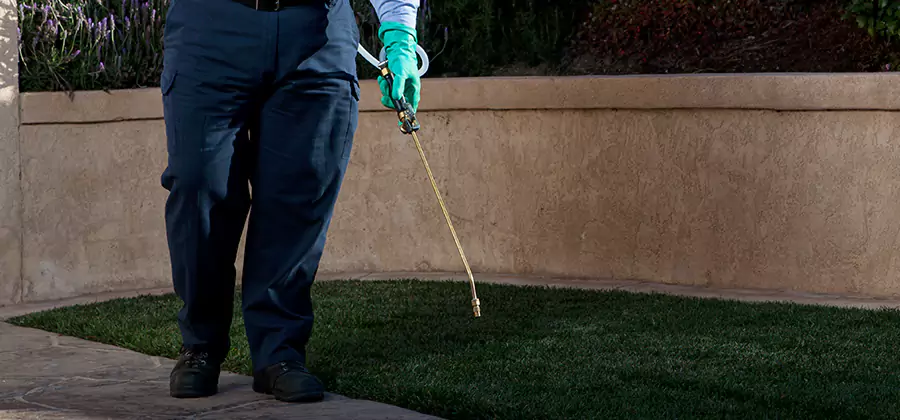 Soil Treatment for New Construction Termites in Cartersville
