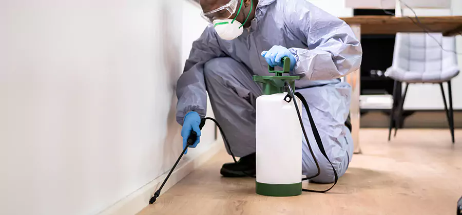 No Tent Termite Extermination With Electric Tool in Cartersville