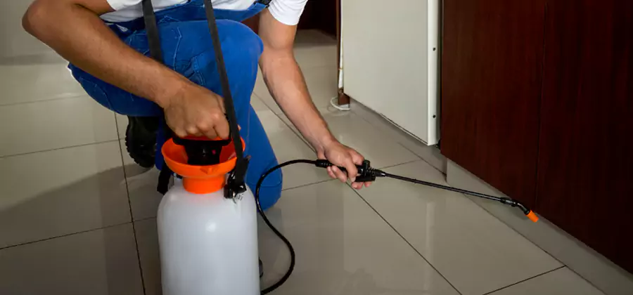 One Time Termite Control in Cartersville