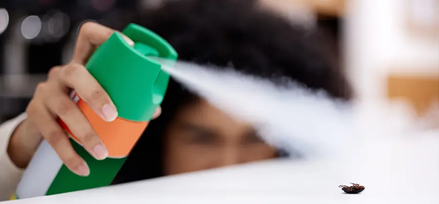 Child Safe Bed Bug Treatment in Cartersville