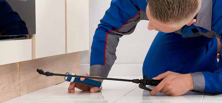 Moisture Treatment For Termite Control Service in Cartersville