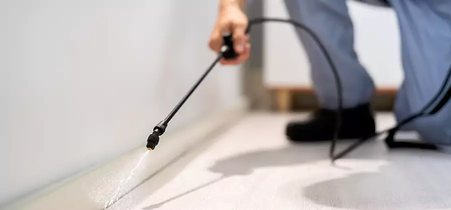 Direct Termite Injection Treatment in Cartersville