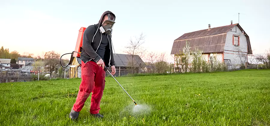 Flea and Tick Pest Control in Cartersville