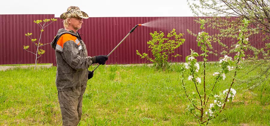 Flea and Tick Spray for Yard in Cartersville