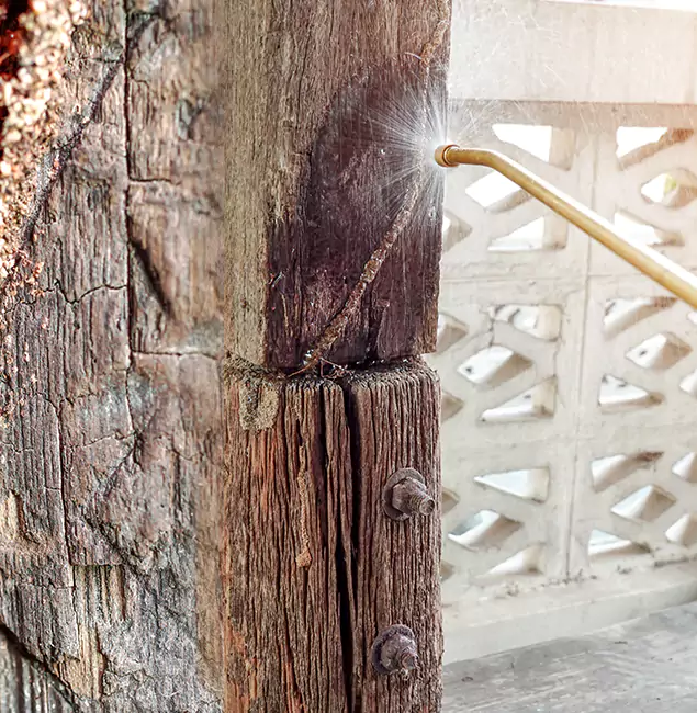 Why Choose Cartersville Pest Control Inc for Attic Termite Treatment in Cartersville, GA?