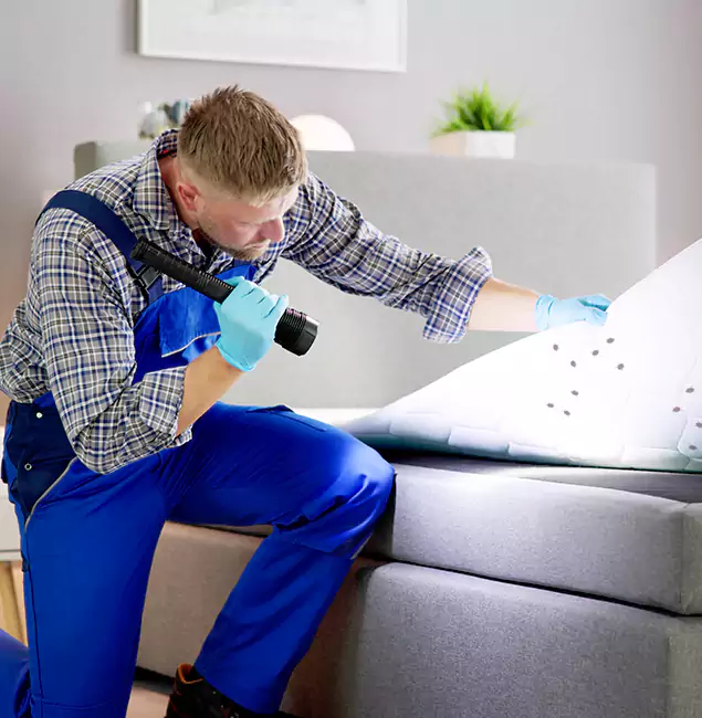 Why Choose Cartersville Pest Control Inc for Bed Bug Exterminator Cost in Cartersville, GA?