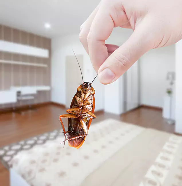 Why Cartersville Pest Control Inc Stand Out for Bed Bug Fumigation in Cartersville, GA?