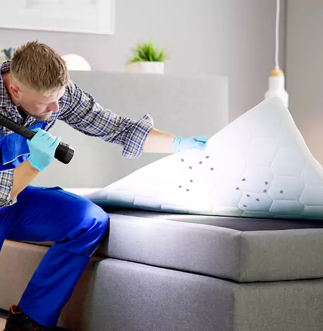Why Choose Cartersville Pest Control Inc in Cartersville, GA?