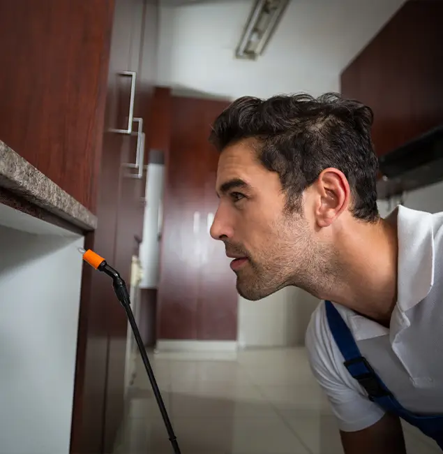 Why Choose Cartersville Pest Control Inc for Bed Bug Removal Cost in Cartersville, GA?