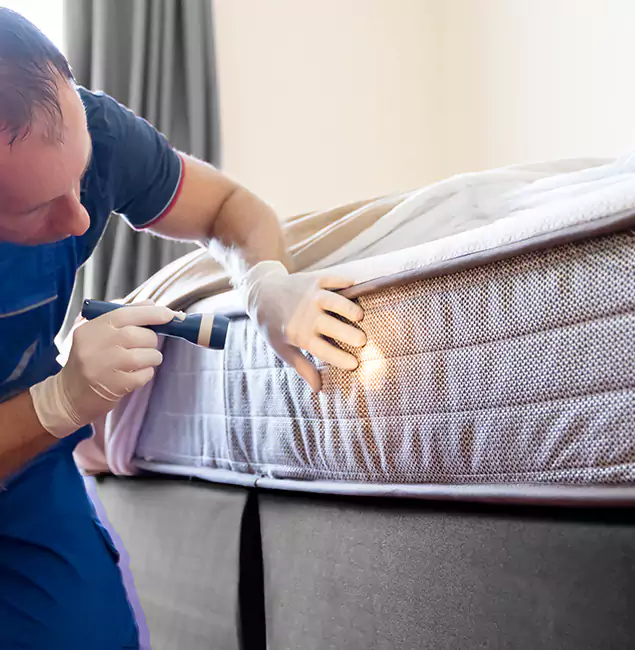 Why Choose Cartersville Pest Control Inc for Bed Bug Services in Cartersville, GA?
