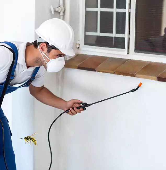 Why Cartersville Property Owners Choose Cartersville Pest Control Inc for Bee Nest Removal?