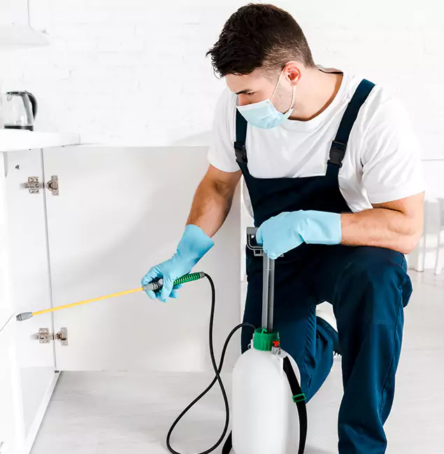 Why Choose Cartersville Pest Control Inc for Emergency Pest Control in Cartersville?