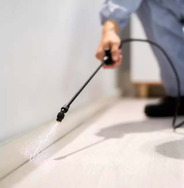 Why Choose Cartersville Pest Control Inc for Termite Treatment in Cartersville, GA?