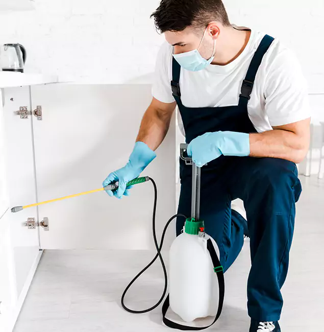 Why Choose Cartersville Pest Control Inc for Indoor Pest Control in Cartersville, GA?
