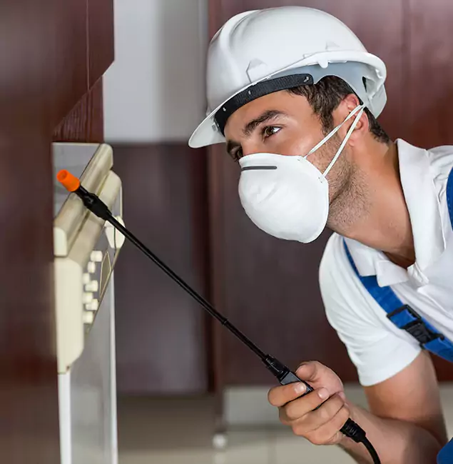 Why Cartersville Homeowners Rely on Cartersville Pest Control Inc for Tick Treatment?