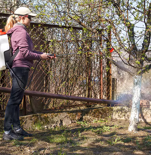 Why Cartersville Homeowners Choose Cartersville Pest Control Inc for Mosquito Abatement?