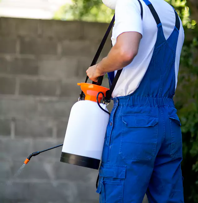 Why Cartersville Homeowners Rely on Cartersville Pest Control Inc for Mosquito Control?