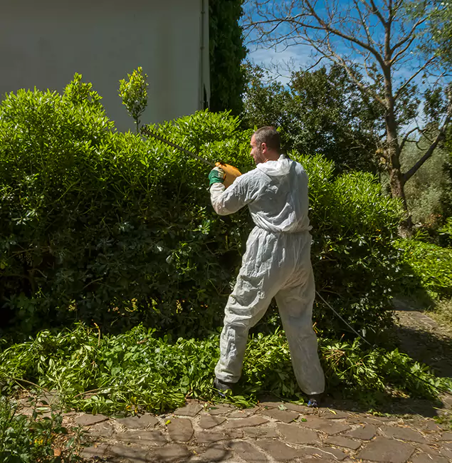 Why Cartersville Pest Control Inc Leads Mosquito Control in Cartersville, GA?