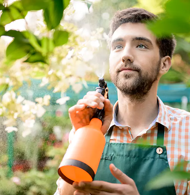 Why Cartersville Pest Control Inc Is the Best Mosquito Control Company in Cartersville, GA?