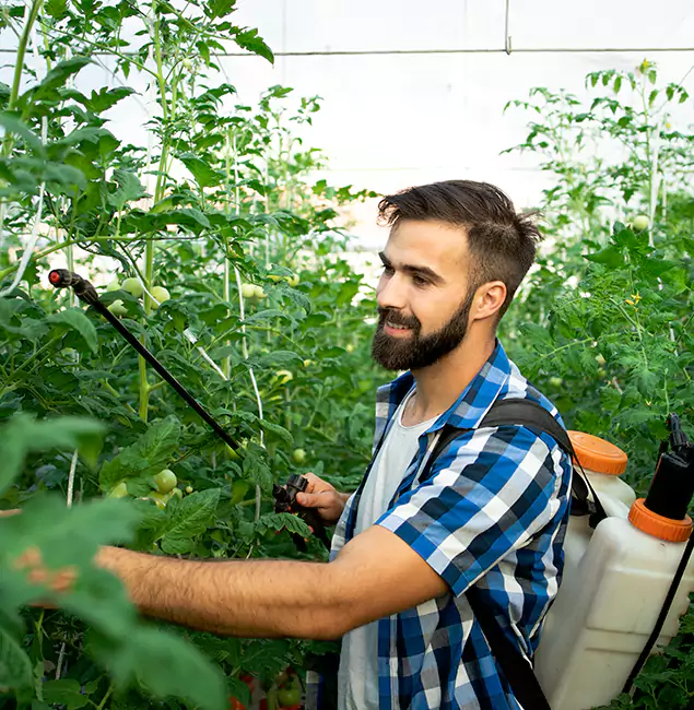 Why Cartersville Homeowners Choose Cartersville Pest Control Inc for Mosquito Spraying?