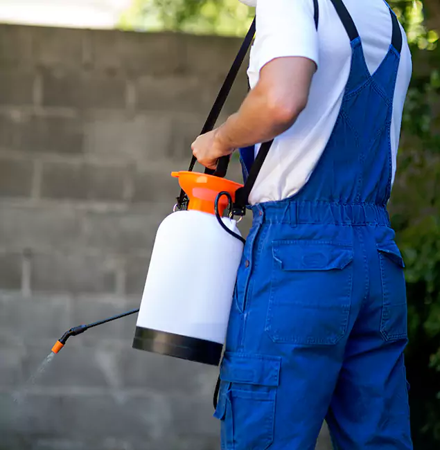 Why Cartersville Pest Control Inc Delivers the Best Mosquito Control in Cartersville, GA?