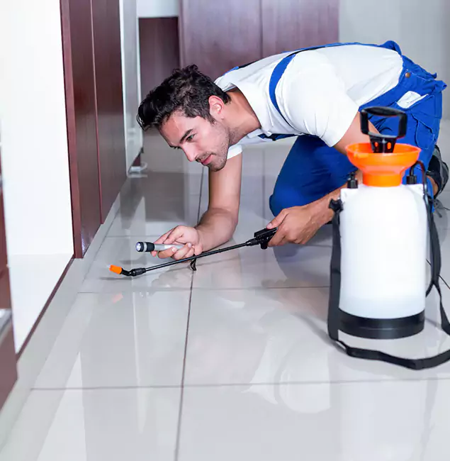 Why Cartersville Pest Control Inc Is the Proven Choice in Cartersville, GA?